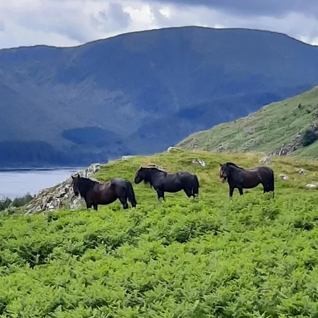 Haweswater Bampton (Cumbria)